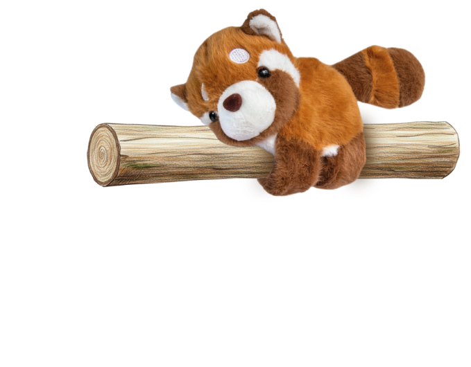 foto peluche pulsera