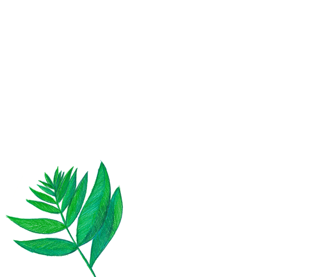 foto peluche pulsera